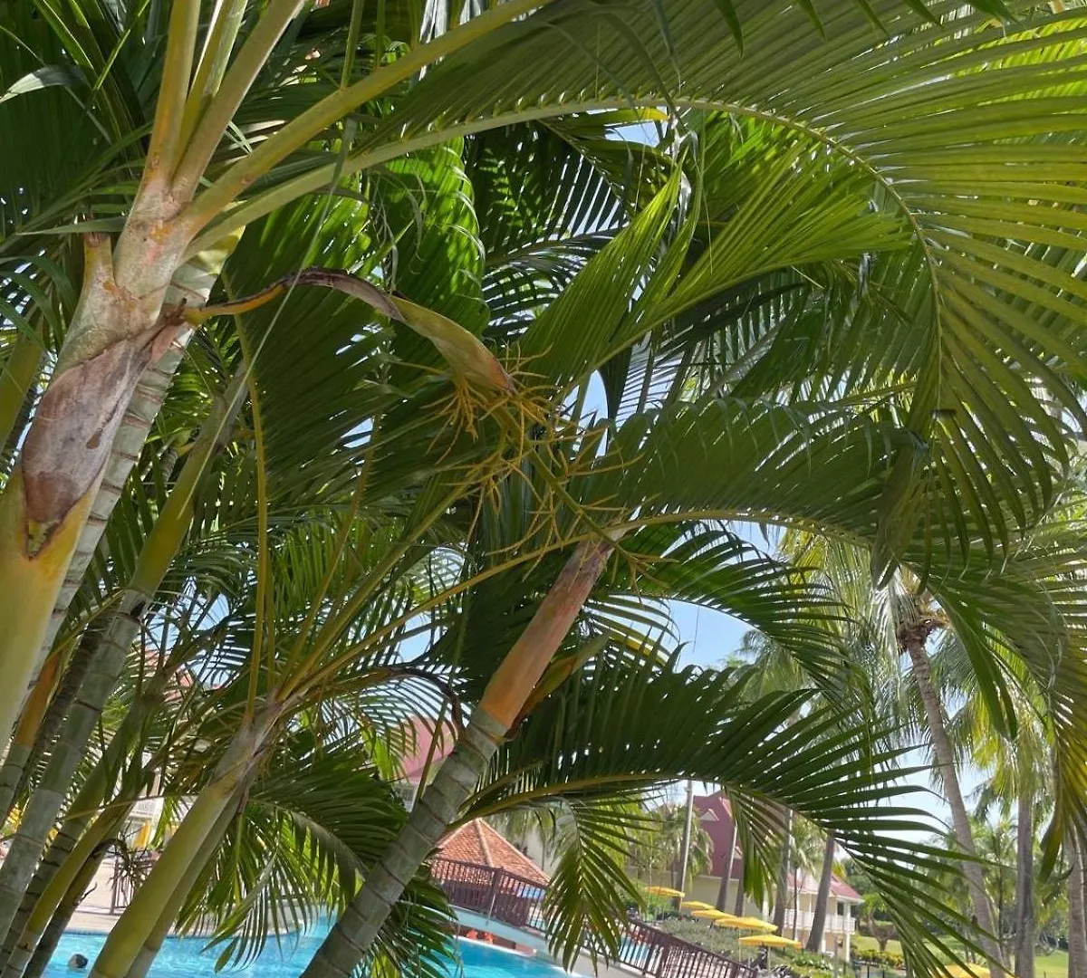 Apartamento Couleur Caraibes-Cocobeach Martinique Pierre Et Vacances Sainte-Luce Martinica